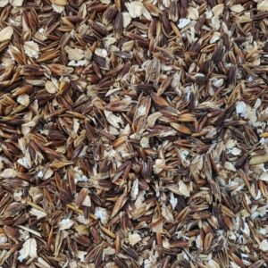 Avoine noire aplatie