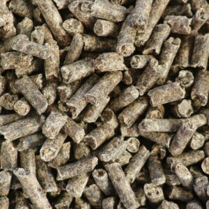 Pulpe de betterave granulée