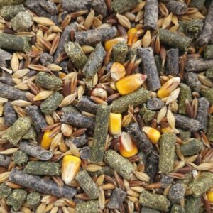 Mélange Lapins adultes