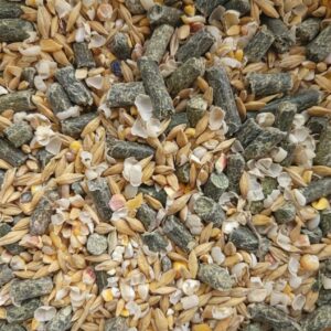 Mélange Ovins/Caprins