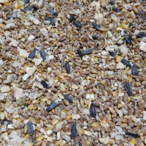 Mélange de graines pour oiseaux incluant tournesol, maïs concassé et autres céréales.