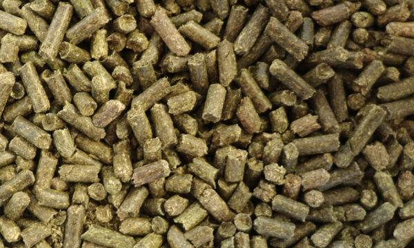 Granulés cylindriques bruns utilisés comme nourriture pour animaux.