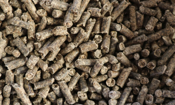 Bruns granulés compacts, possibles aliments animaux ou biomasse, disposés en tas.