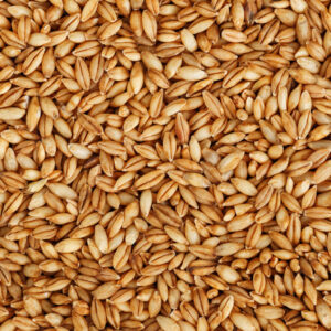 Golden cereal grains filling the entire image, creating a dense natural texture.