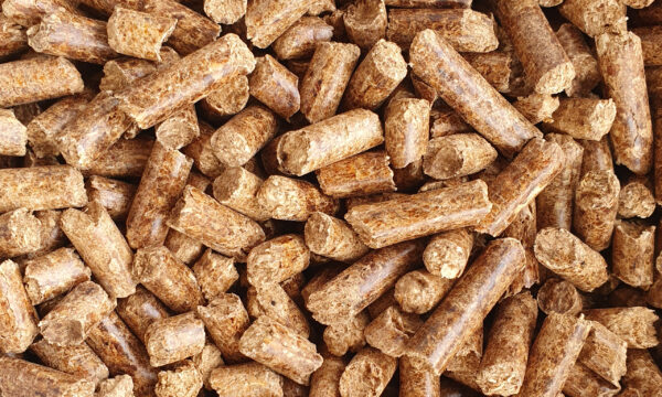 Granules de bois bruns conçus pour le chauffage et les poêles à granulés.