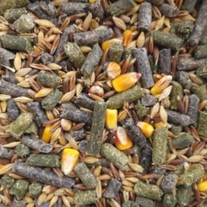 Mélange de granulés, maïs et céréales pour alimentation animale.