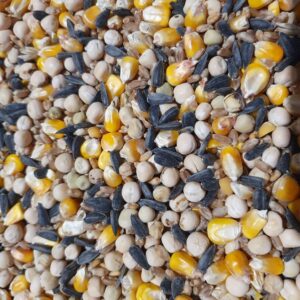 Mélange de maïs jaune, graines de tournesol noires et diverses légumineuses.