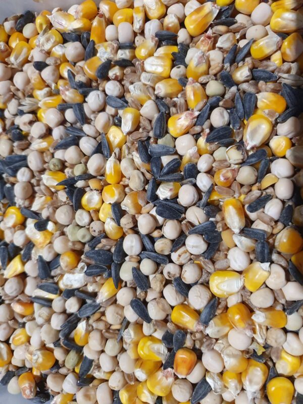 Mélange de maïs jaune, graines de tournesol noires et diverses légumineuses.