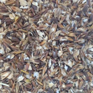 Grains de céréales bruns clairs et foncés mélangés à des fragments de coque blanche en gros plan
