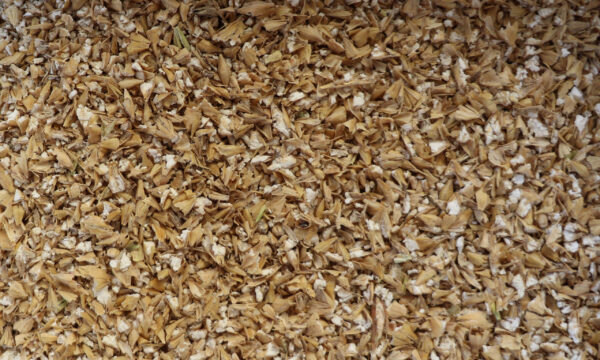 Tas de grains concassés avec particules marron clair et blanches.