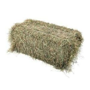Foin de prairie (Botte de 35 kg)