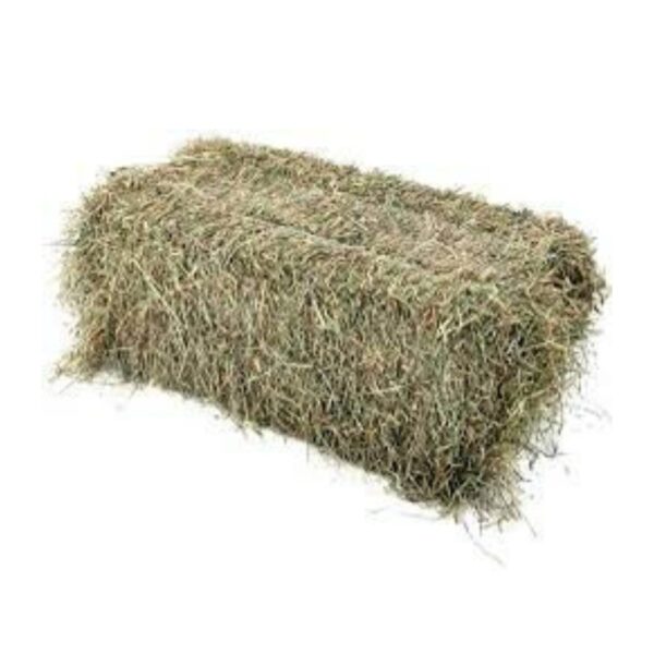 Foin de prairie (Botte de 35 kg)